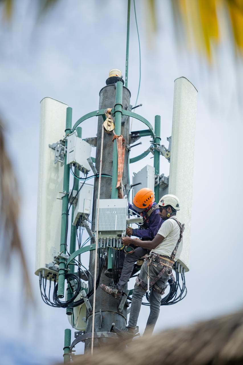 Rishthaa technicians working on a telecom tower among palm trees