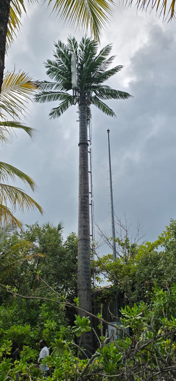 Camouflaged palm-tree telecom tower built by Rishthaa in the Maldives