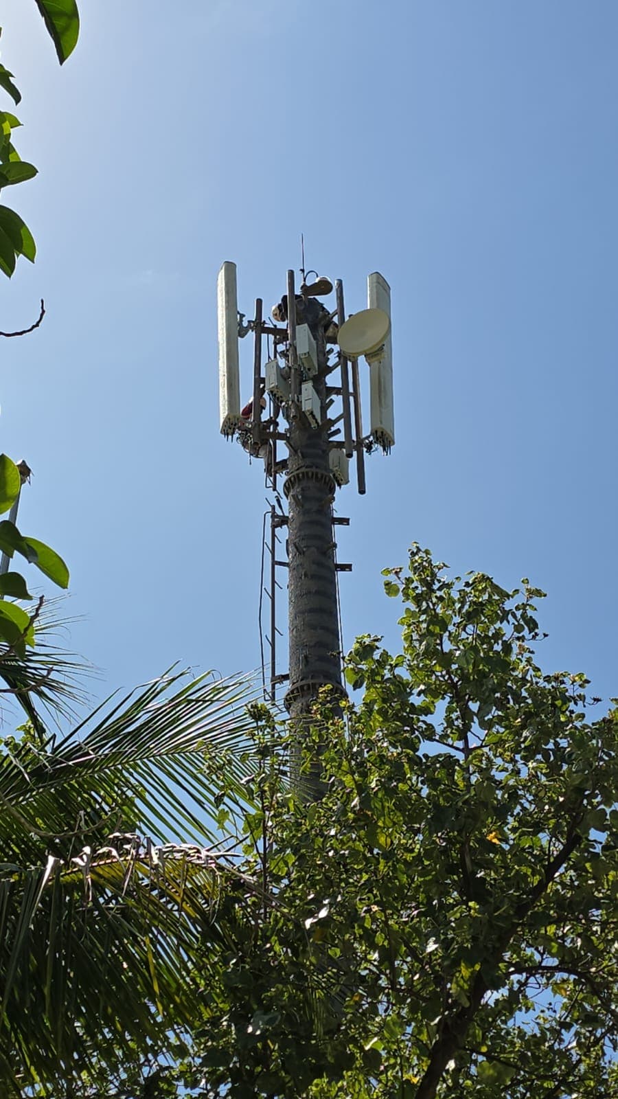 Rishthaa technician servicing a monopole telecom tower
