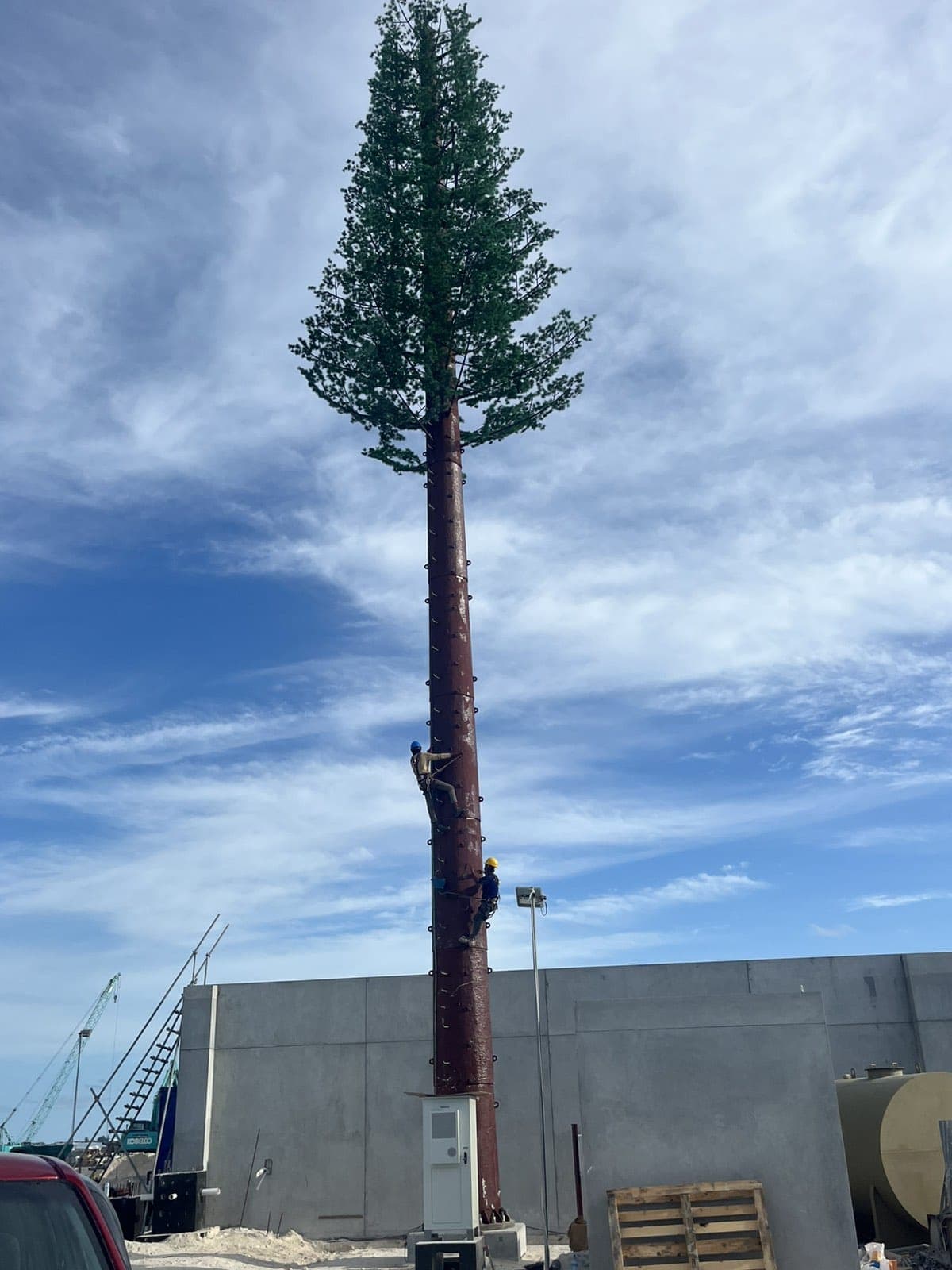 Rishthaa crew climbing a camouflaged telecom tower