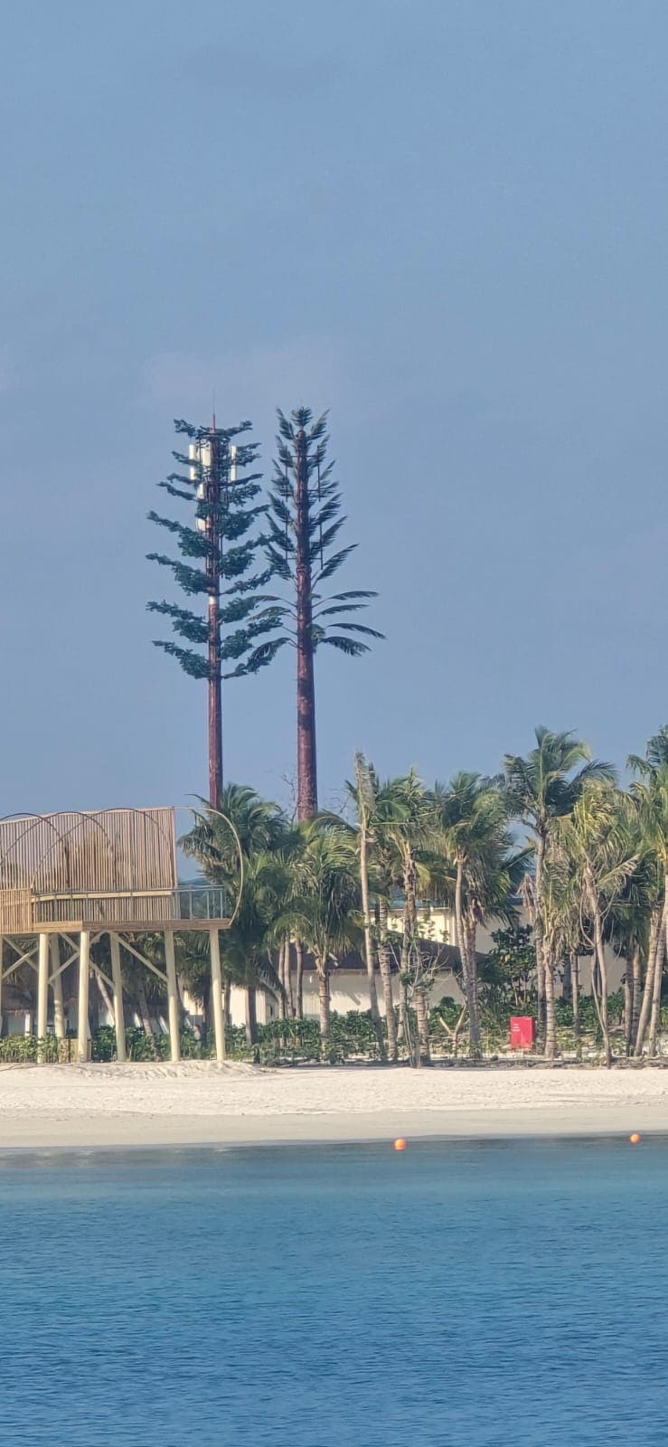 Rishthaa technician on a microwave dish, island below