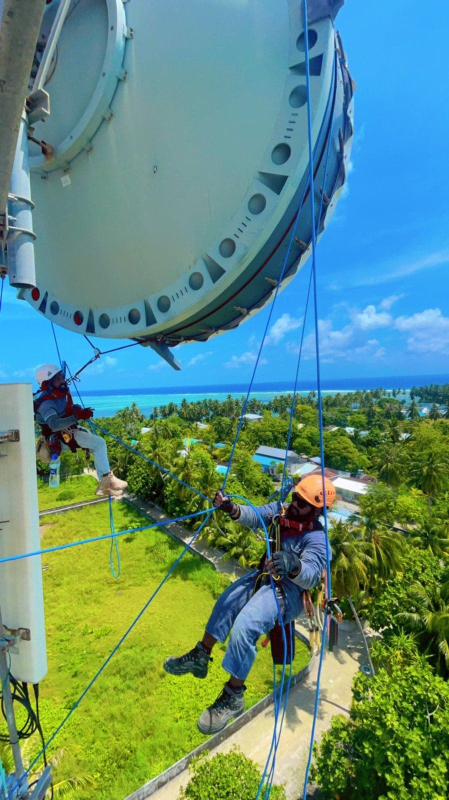 Rishthaa technicians on rope access at a microwave dish