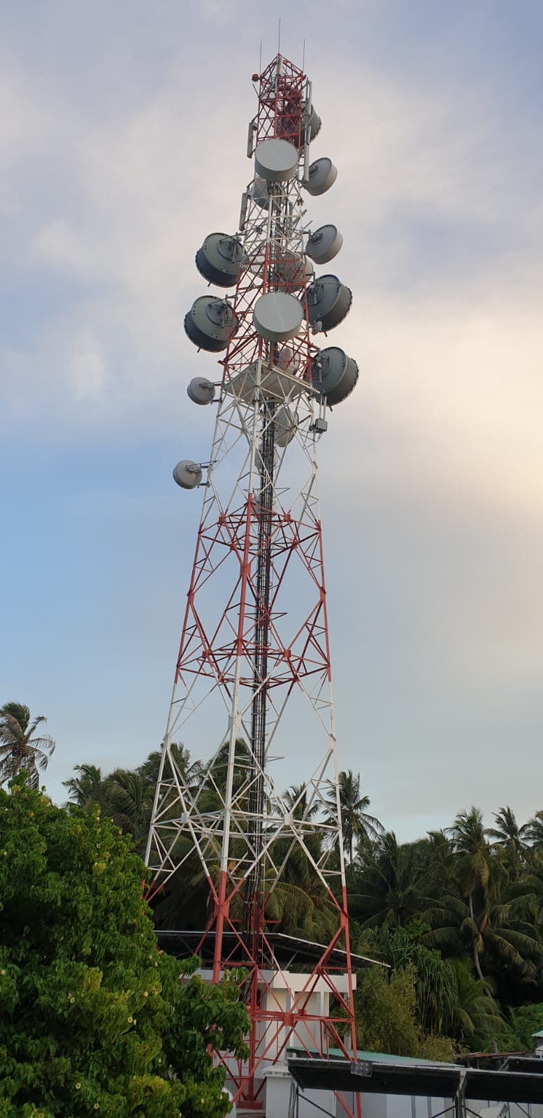 Microwave-linked lattice telecom tower at dusk