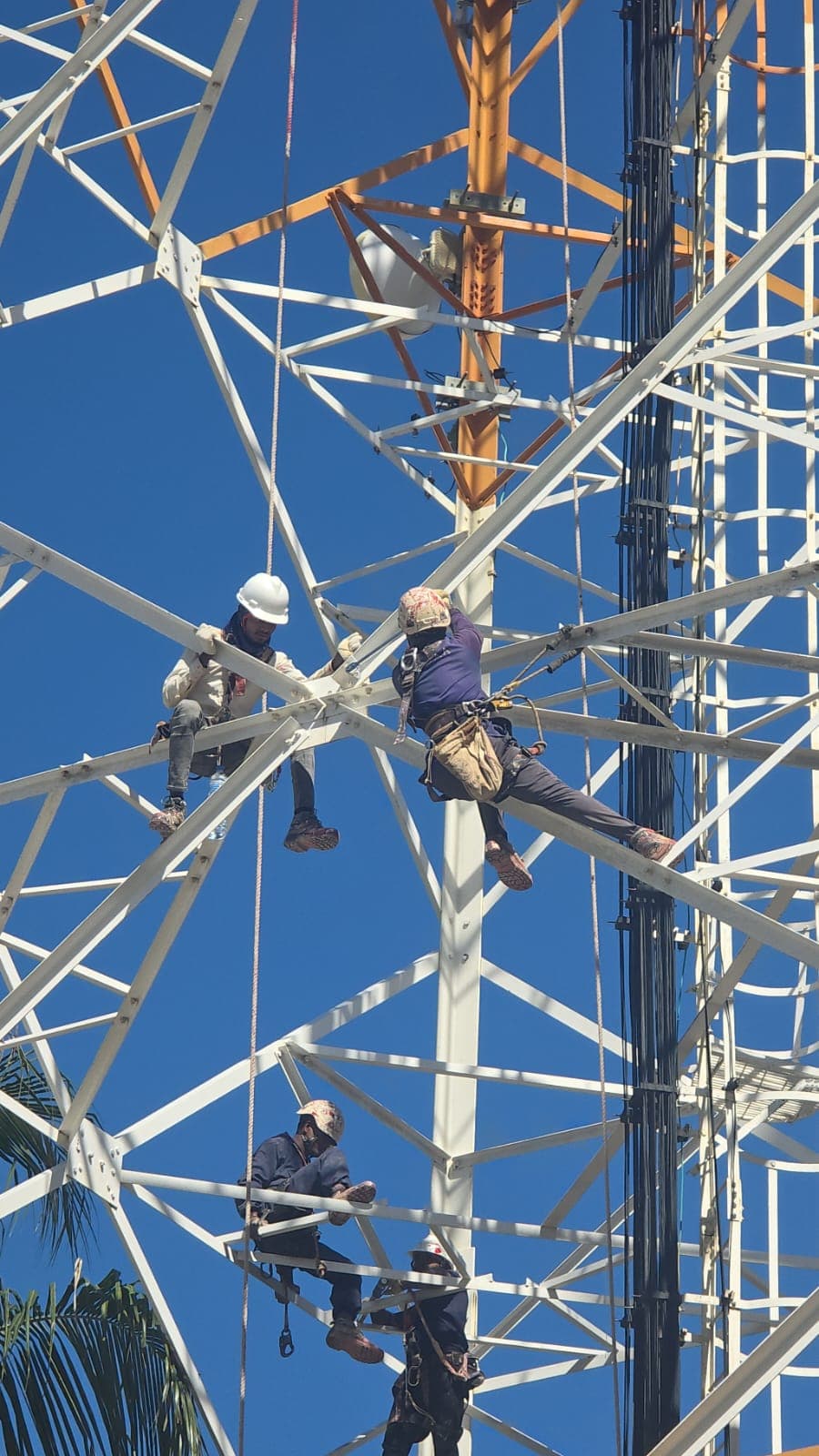 Rishthaa crew on rope access across a lattice tower during rectification