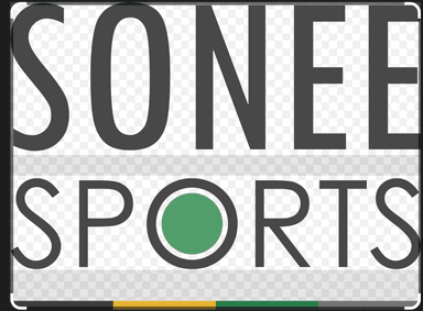 Sonee Group